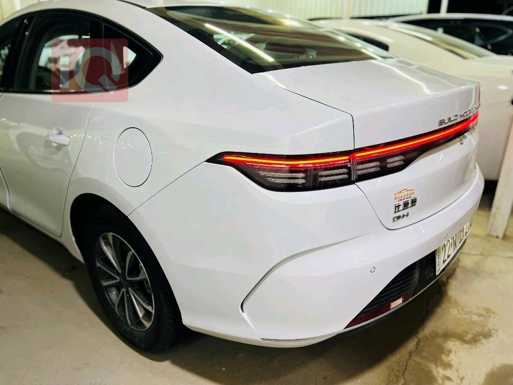 بي واي دي ديستروير 05